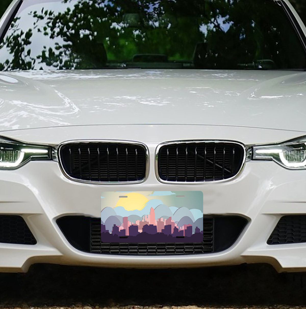 Custom Printed on Demand License Plate Blanks Automotive Exterior