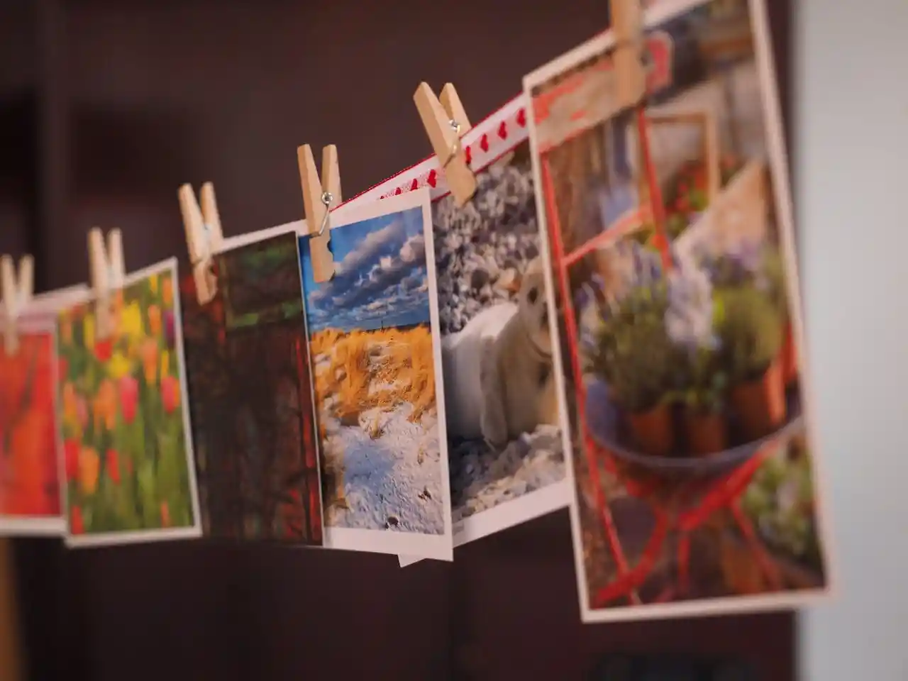Matte vs Glossy Photos: Which Finish is Best for Your Printing?