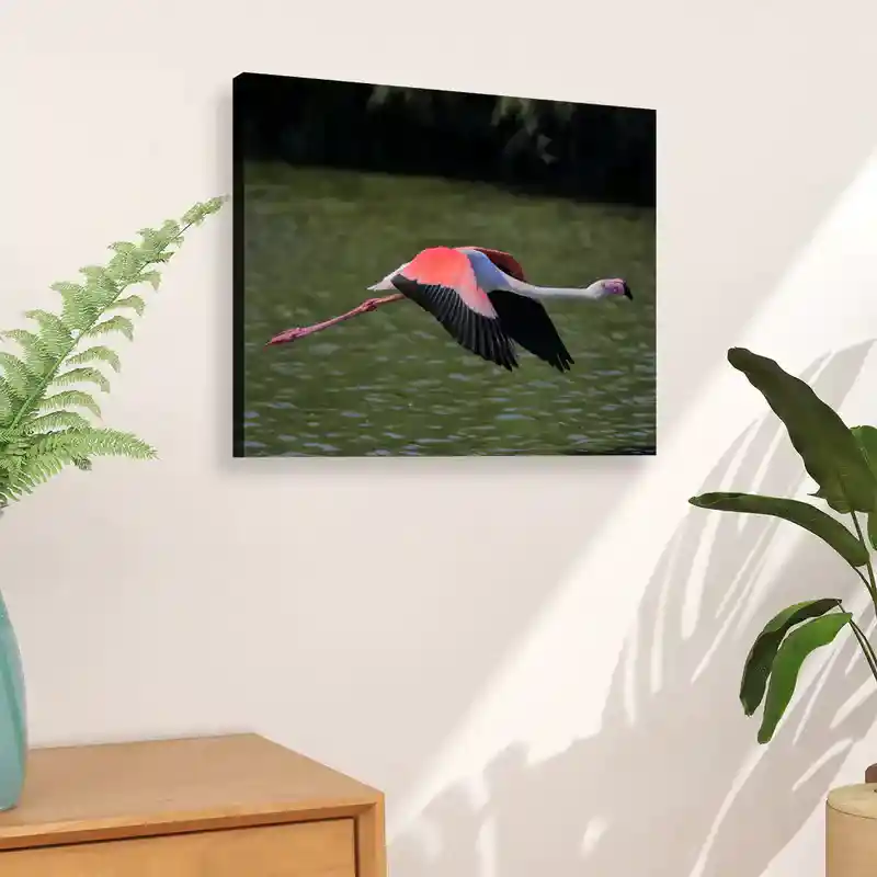 Guide to Popular Art Print Sizes That Boost Artwork Sales