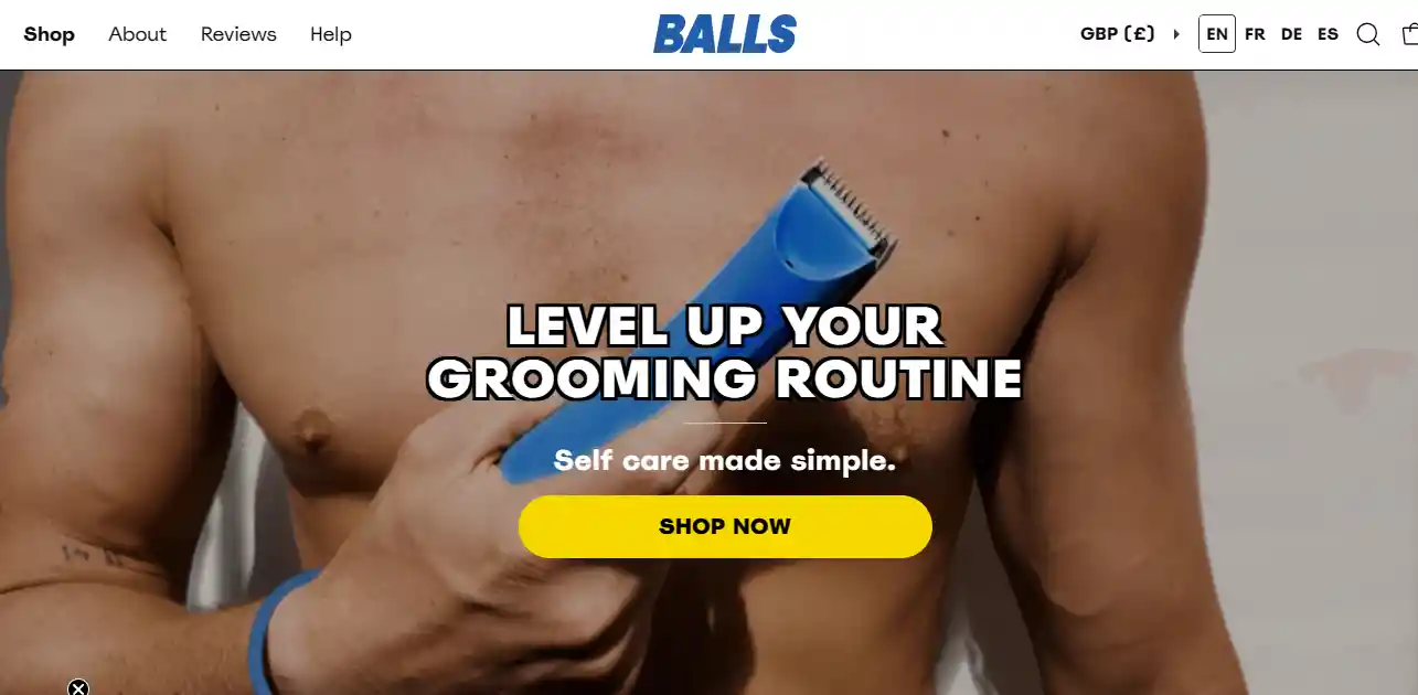 Top 26 Dropshipping Stores Examples to Learn in 2025