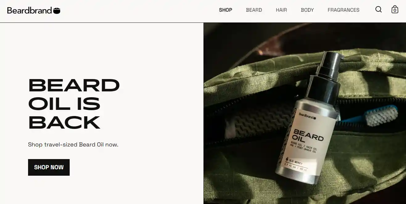 Top 26 Dropshipping Stores Examples to Learn in 2025