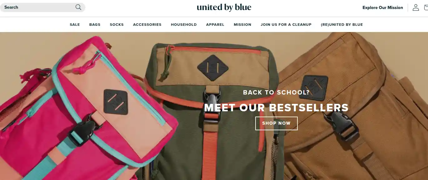 Top 26 Dropshipping Stores Examples to Learn in 2025