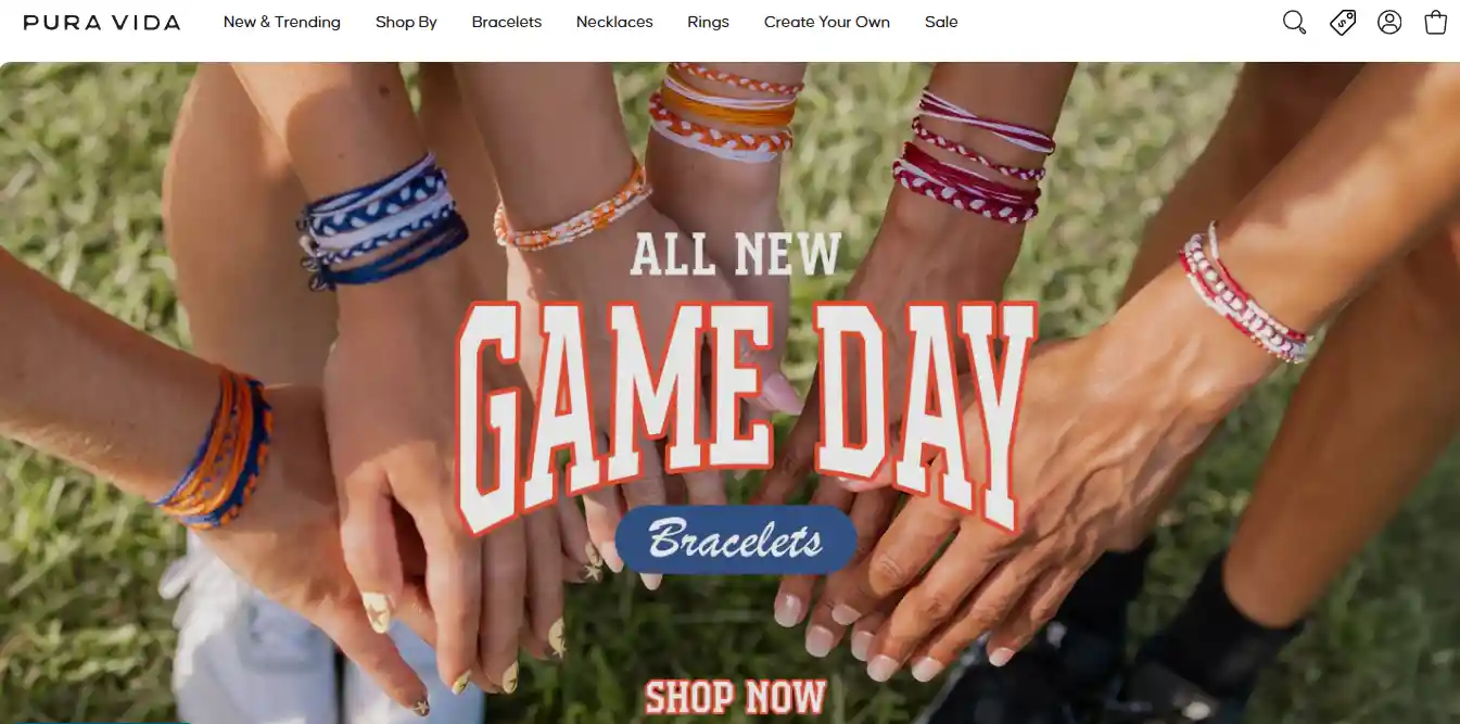 Top 26 Dropshipping Stores Examples to Learn in 2025