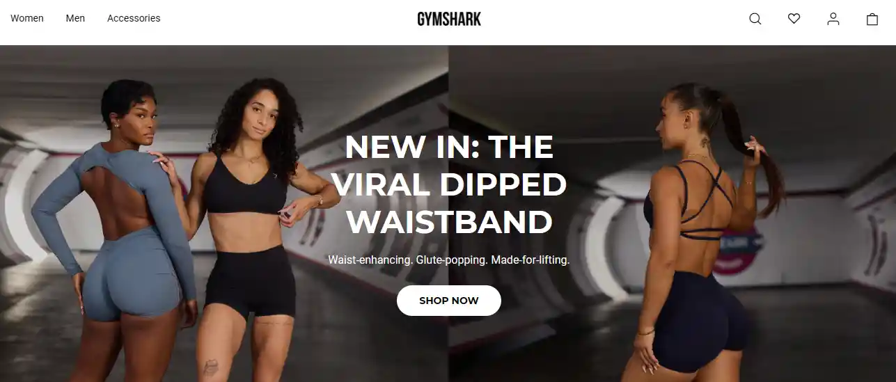 Top 26 Dropshipping Stores Examples to Learn in 2025