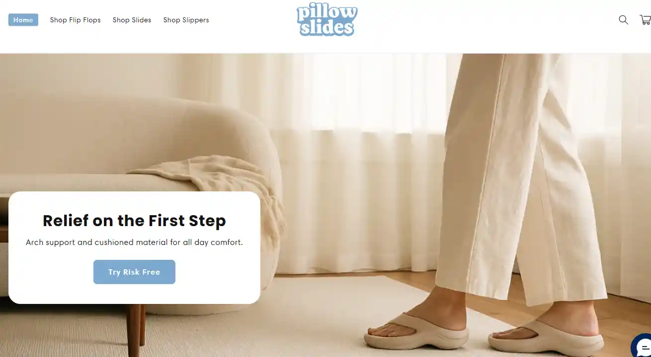 Top 26 Dropshipping Stores Examples to Learn in 2025