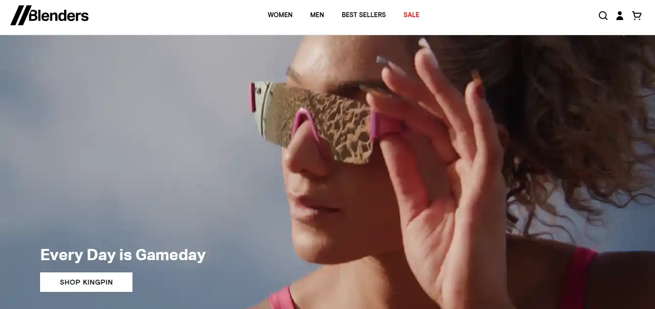 Top 26 Dropshipping Stores Examples to Learn in 2025