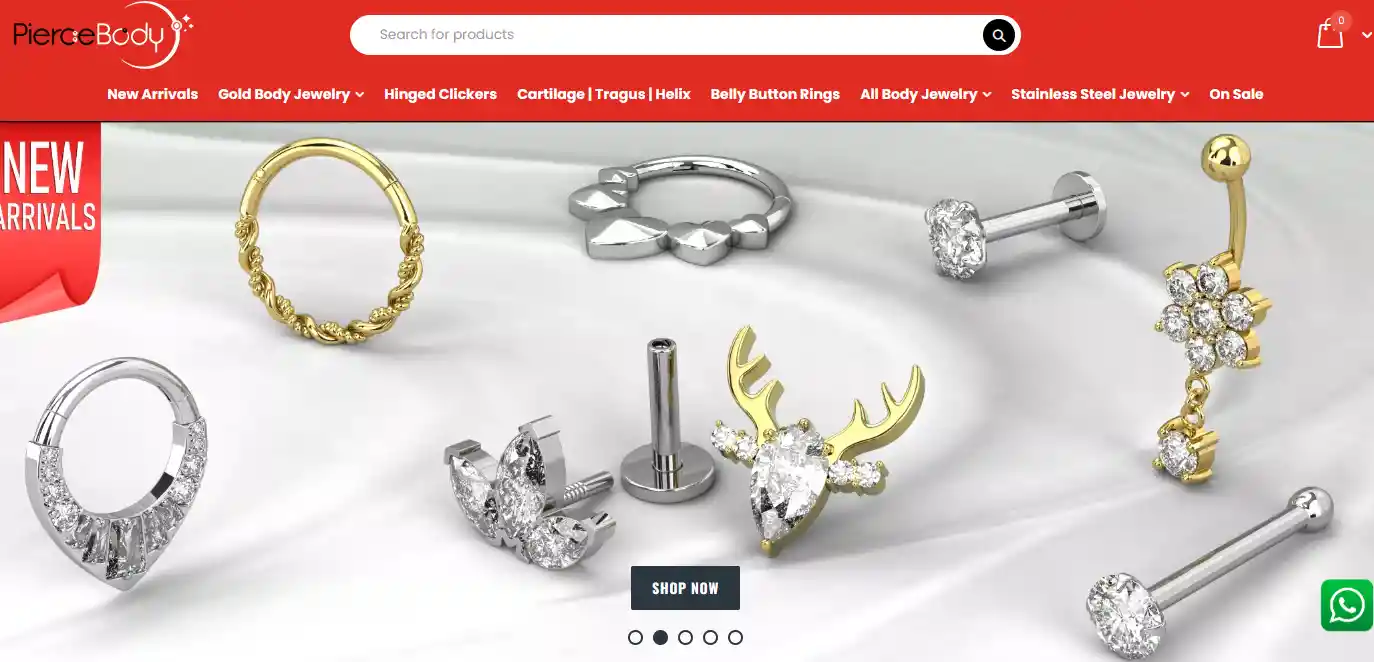 Top 16 Jewelry Dropshipping Suppliers to Consider in 2025
