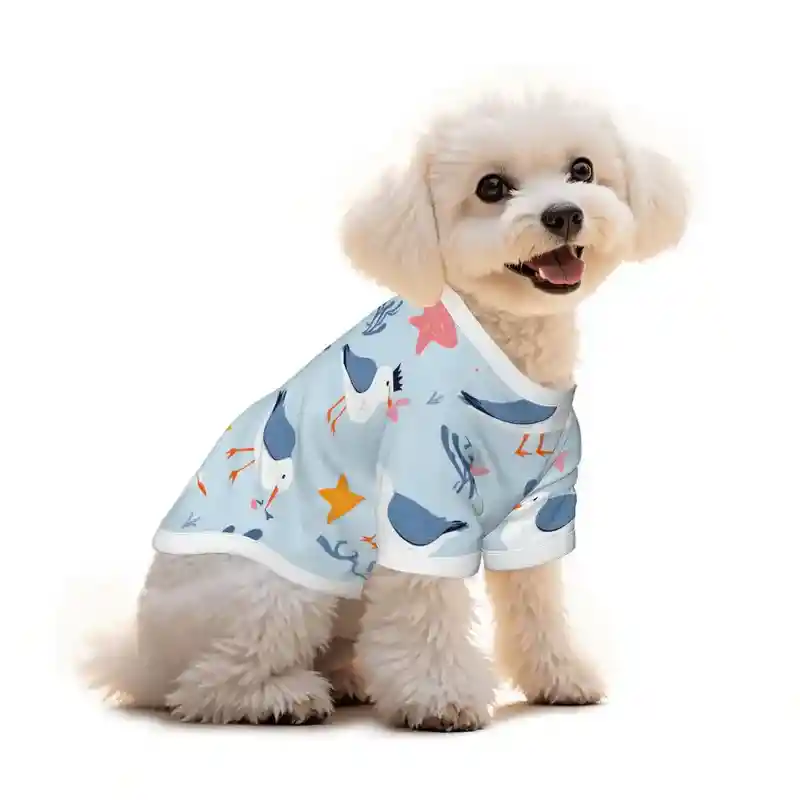 15 Best Dropshipping Product Finder Tools in 2025