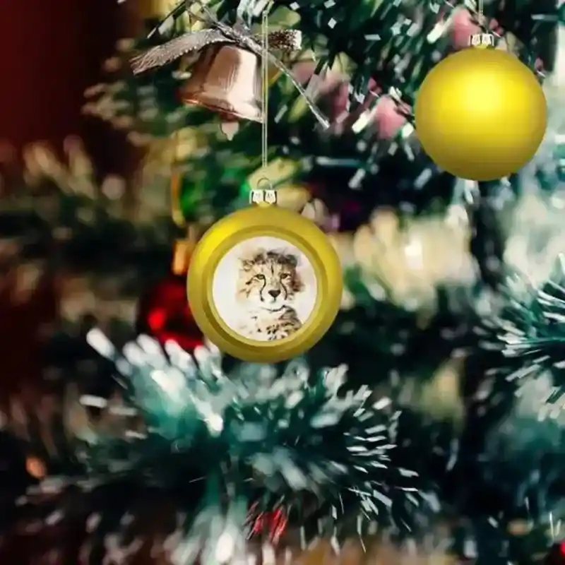 15 Best Niches for Print on Demand in 2025: Discover Top Opportunities