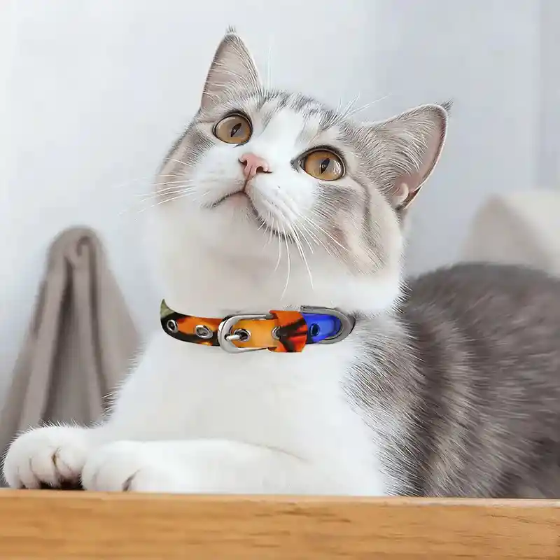 Best Print on Demand Pet Products [Trends 2025]