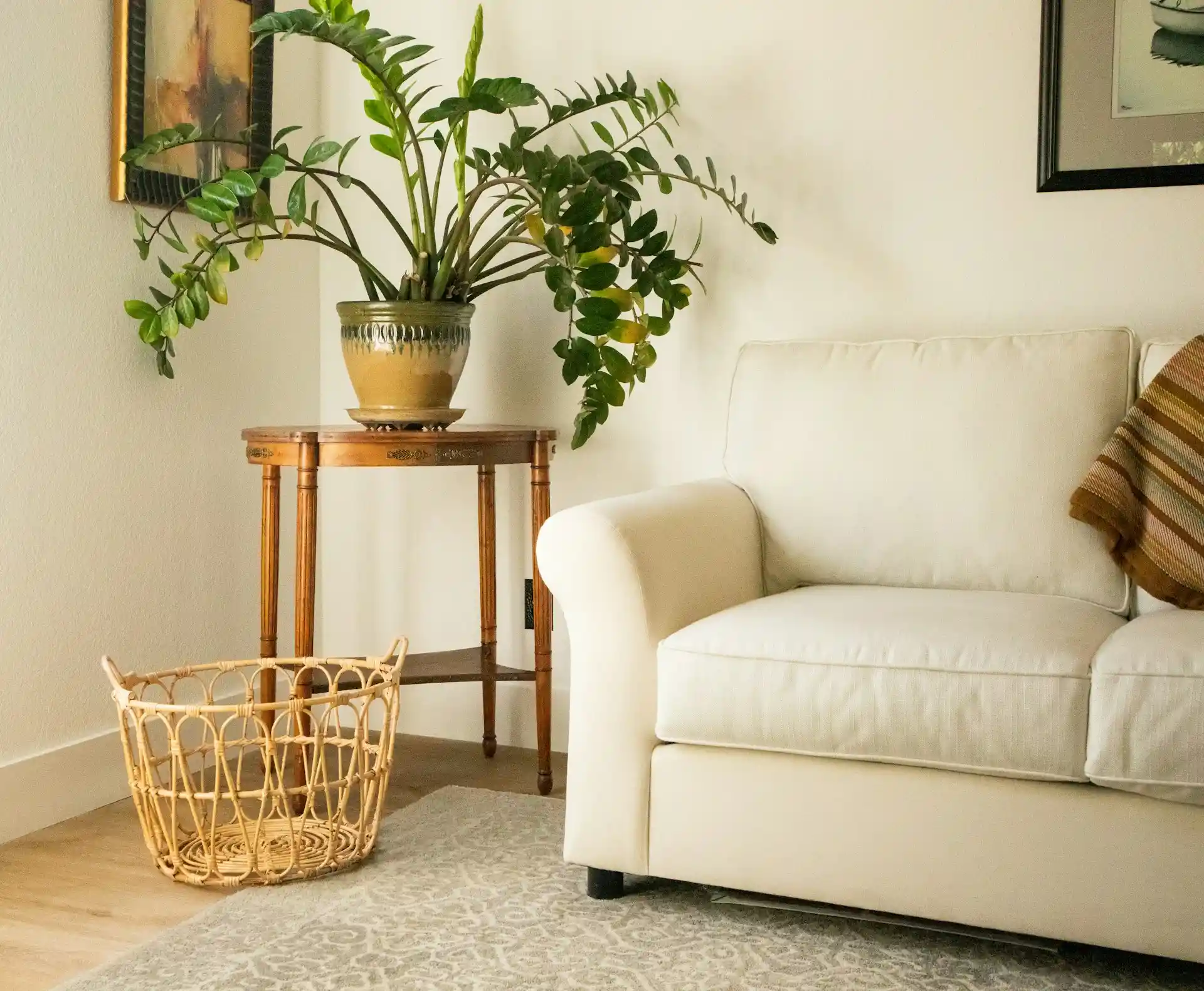 Top 18 Eco-Friendly Home Decor Companies for a Sustainable Lifestyle