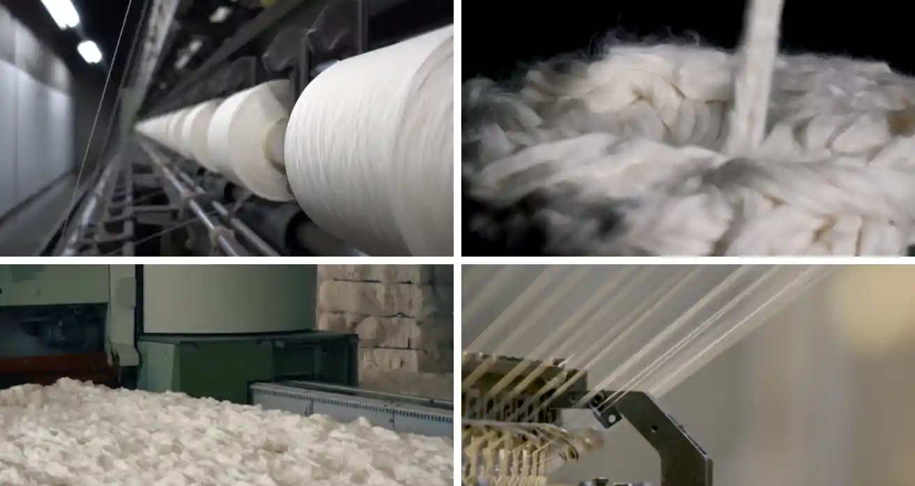 Bella Canvas vs Gildan: Which Blank Apparel Fits Your Brand Best?