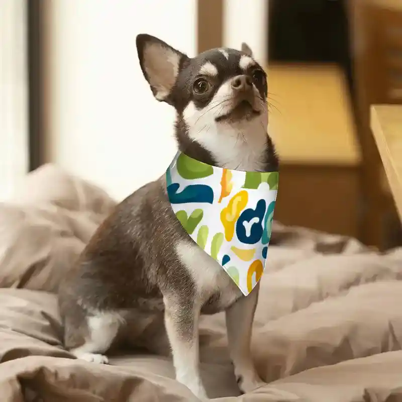 30 Best White Label Products to Sell Online in 2026