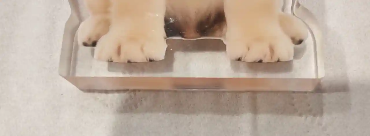 Create Custom Thick Acrylic Standee No Base Mockups with AI