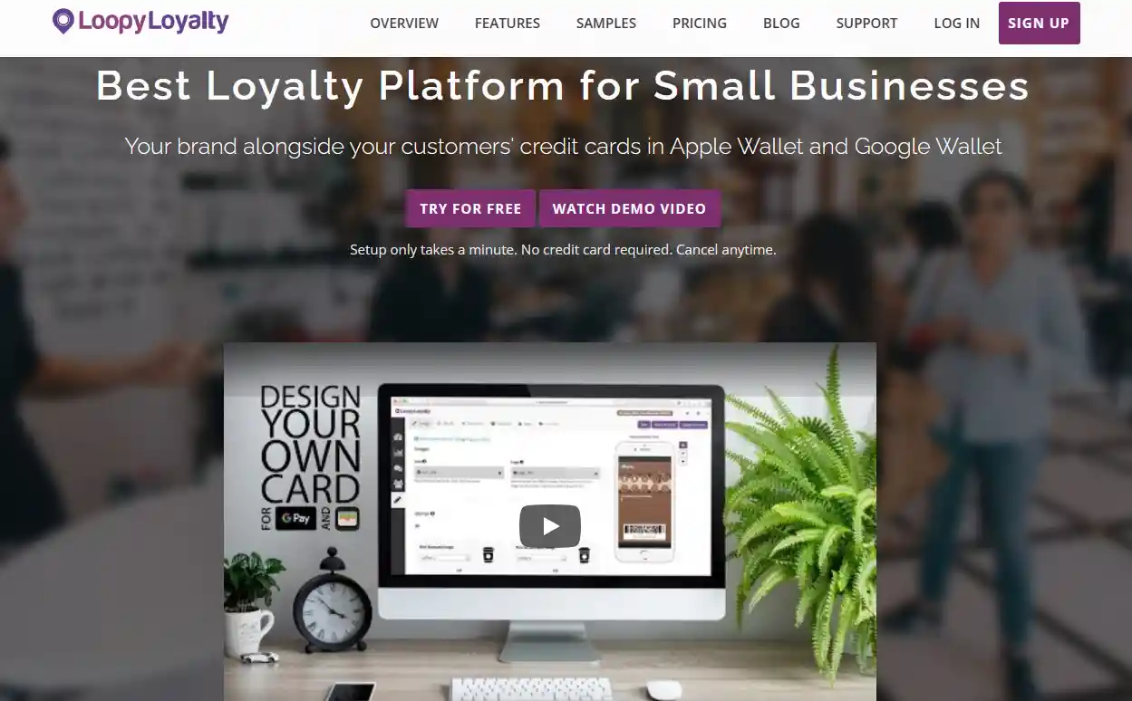 How to Build a Loyalty Program for Small Business: 2026 Guide