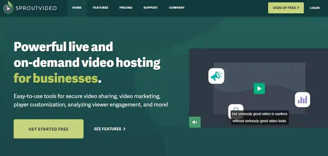 Top 14 YouTube Alternatives You Should Try in 2026