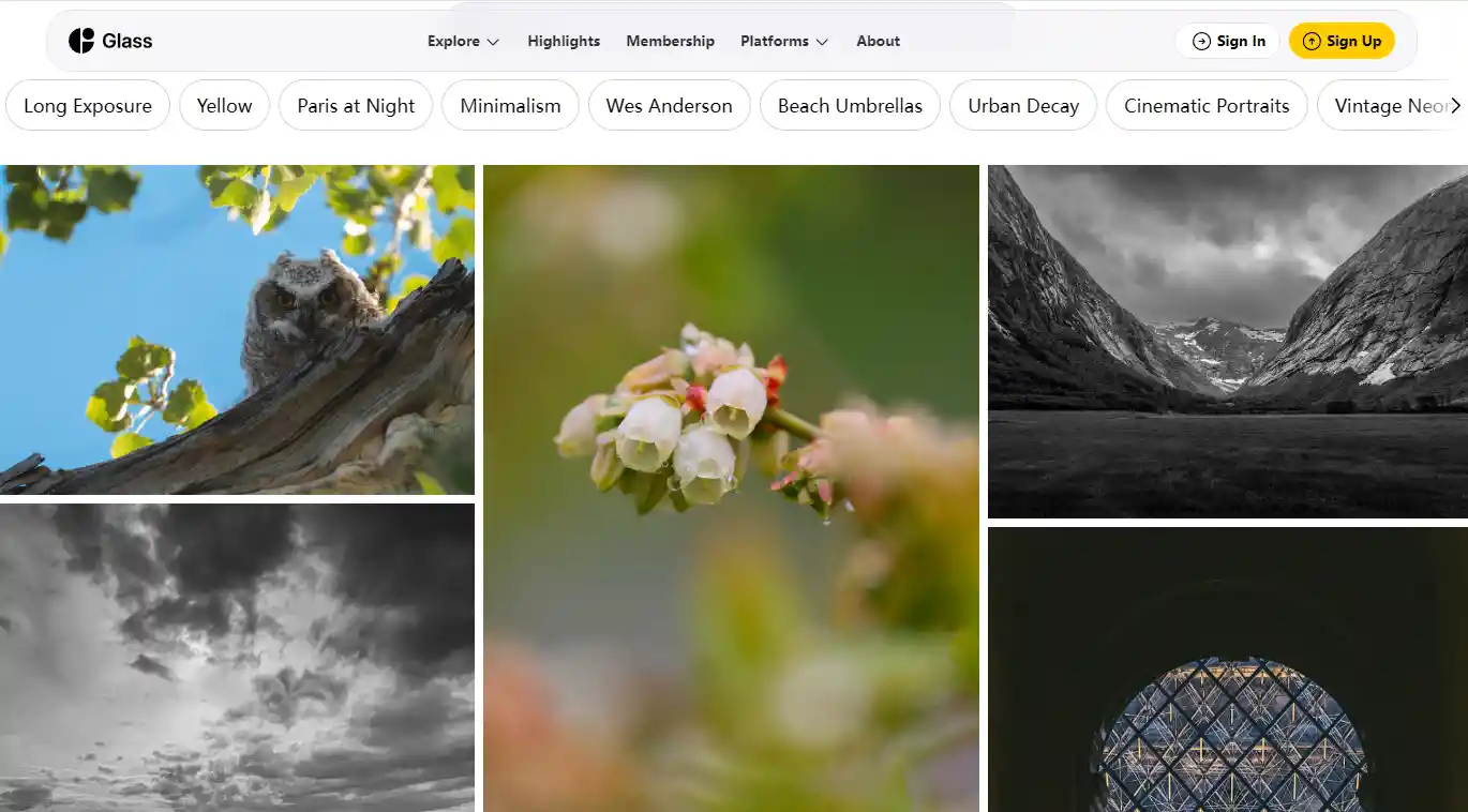14 Best Instagram Alternatives To Reach More Customers