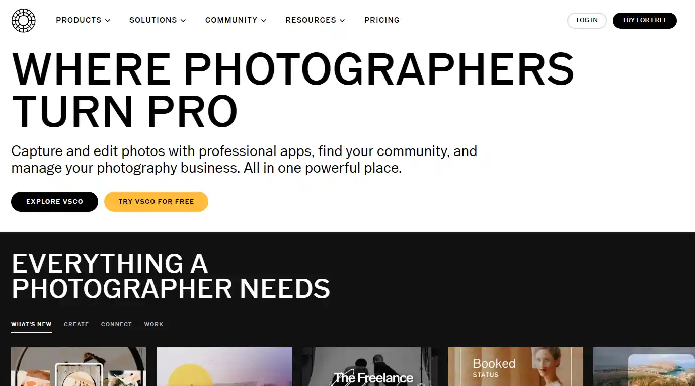 14 Best Instagram Alternatives To Reach More Customers