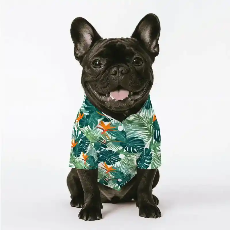 Best 21 Print-on-Demand Pet Products to Sell in 2026