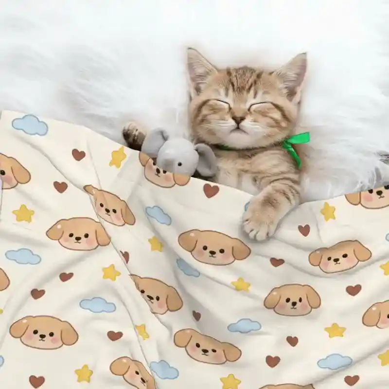 Best 21 Print-on-Demand Pet Products to Sell in 2026