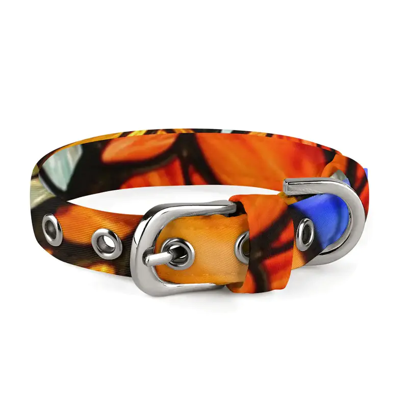 How to Design Personalized Dog Collars in 2026: A Complete Guide