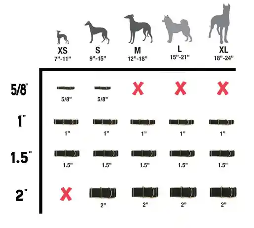 How to Design Personalized Dog Collars in 2026: A Complete Guide