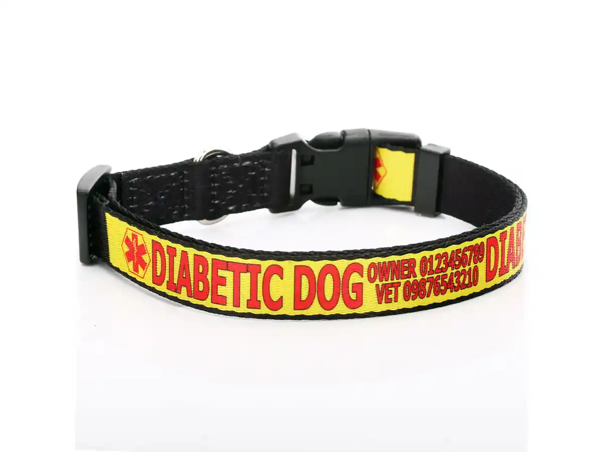 How to Design Personalized Dog Collars in 2026: A Complete Guide