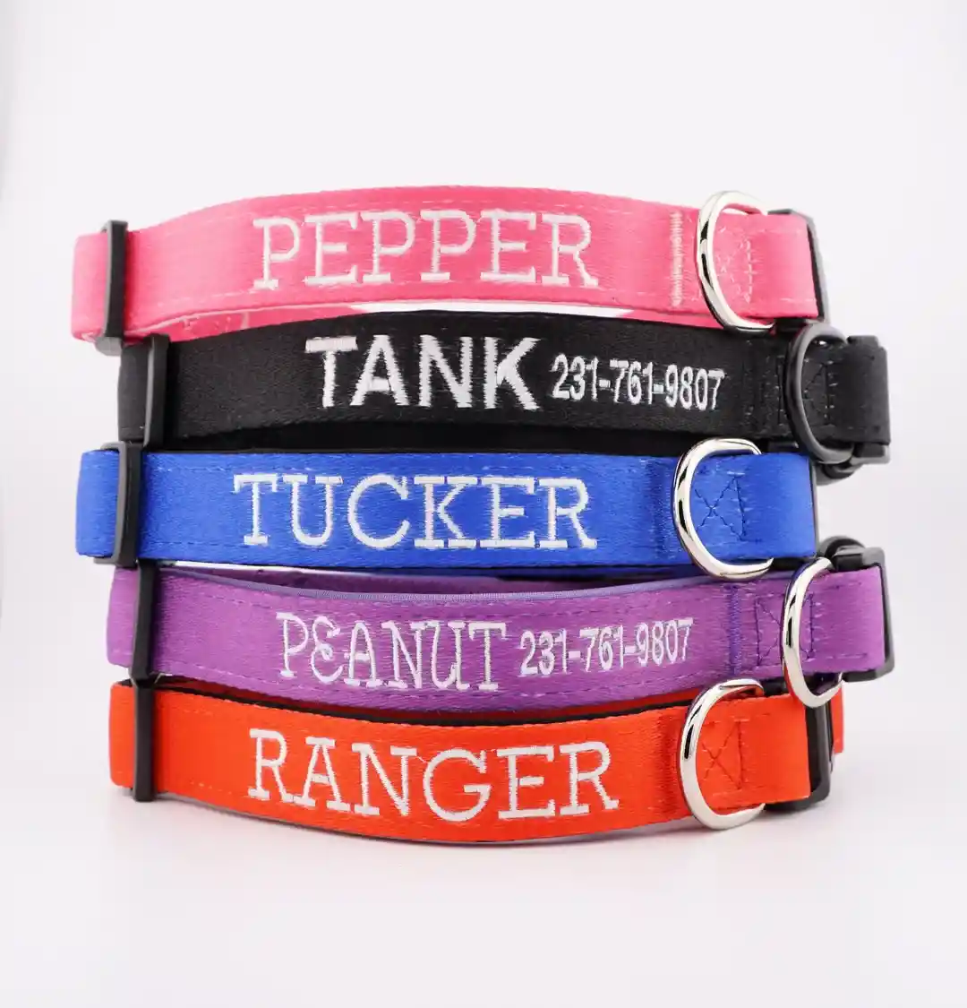 How to Design Personalized Dog Collars in 2026: A Complete Guide
