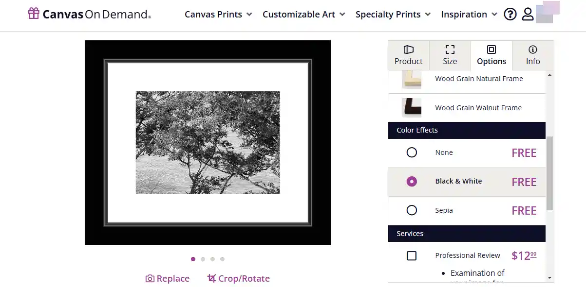 Canvas On Demand Review: Is It the Right Choice for Canvas Prints?