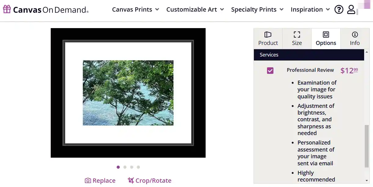 Canvas On Demand Review: Is It the Right Choice for Canvas Prints?