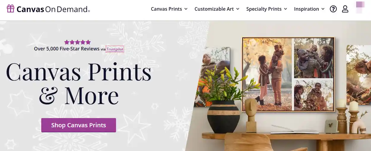 Canvas On Demand Review: Is It the Right Choice for Canvas Prints?