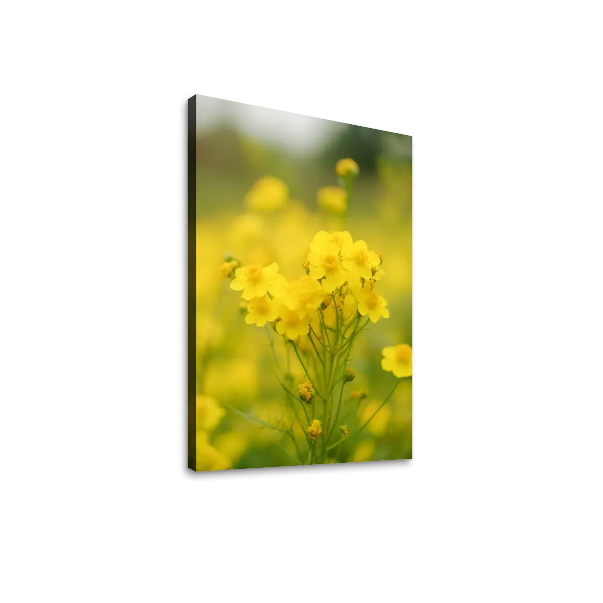 Canvas Prints Wall Art (2:3) (Made in USA)