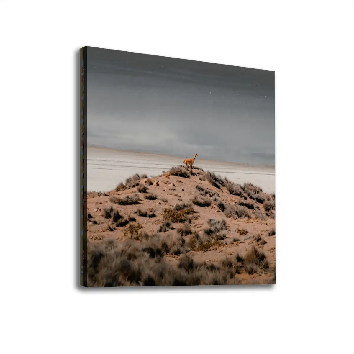 Square Canvas Print