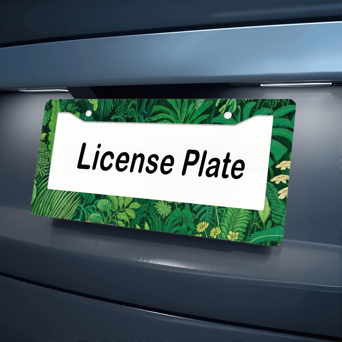 2穴ナンバープレートフレーム 2個（アメリカ製）