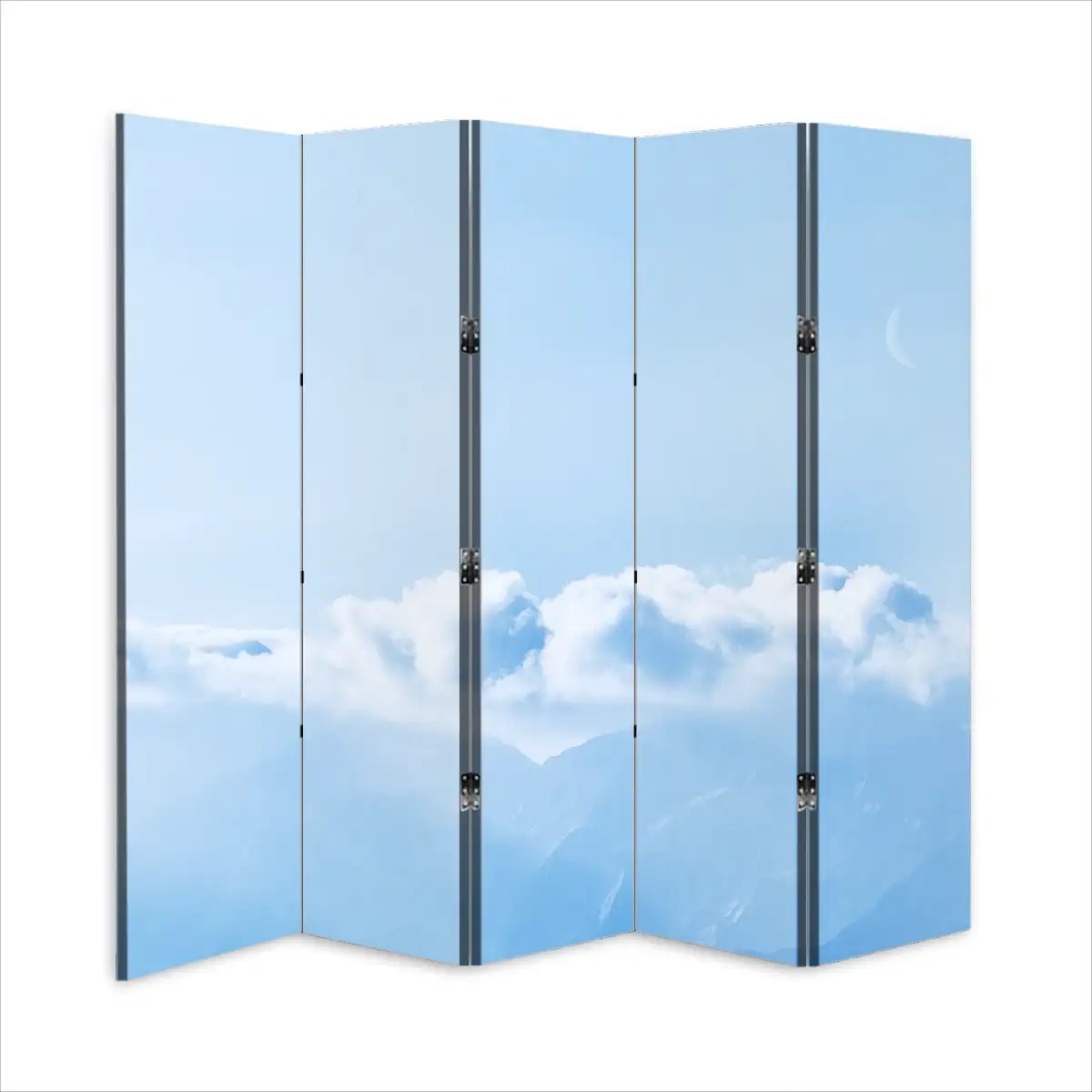 Room Divider Folding Screen 5 Panel