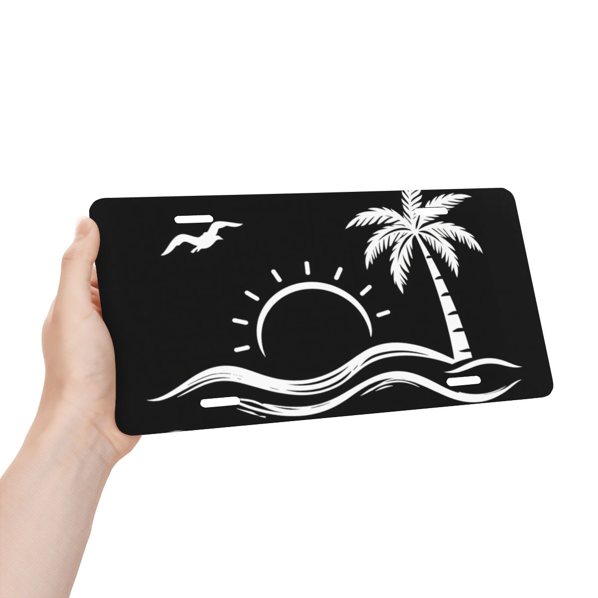 Aluminum License Plate
