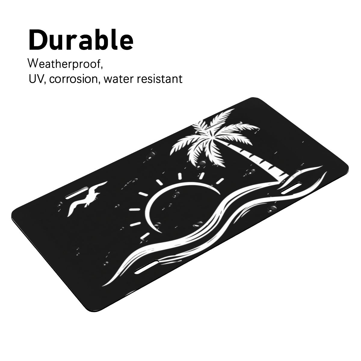 Aluminum License Plate