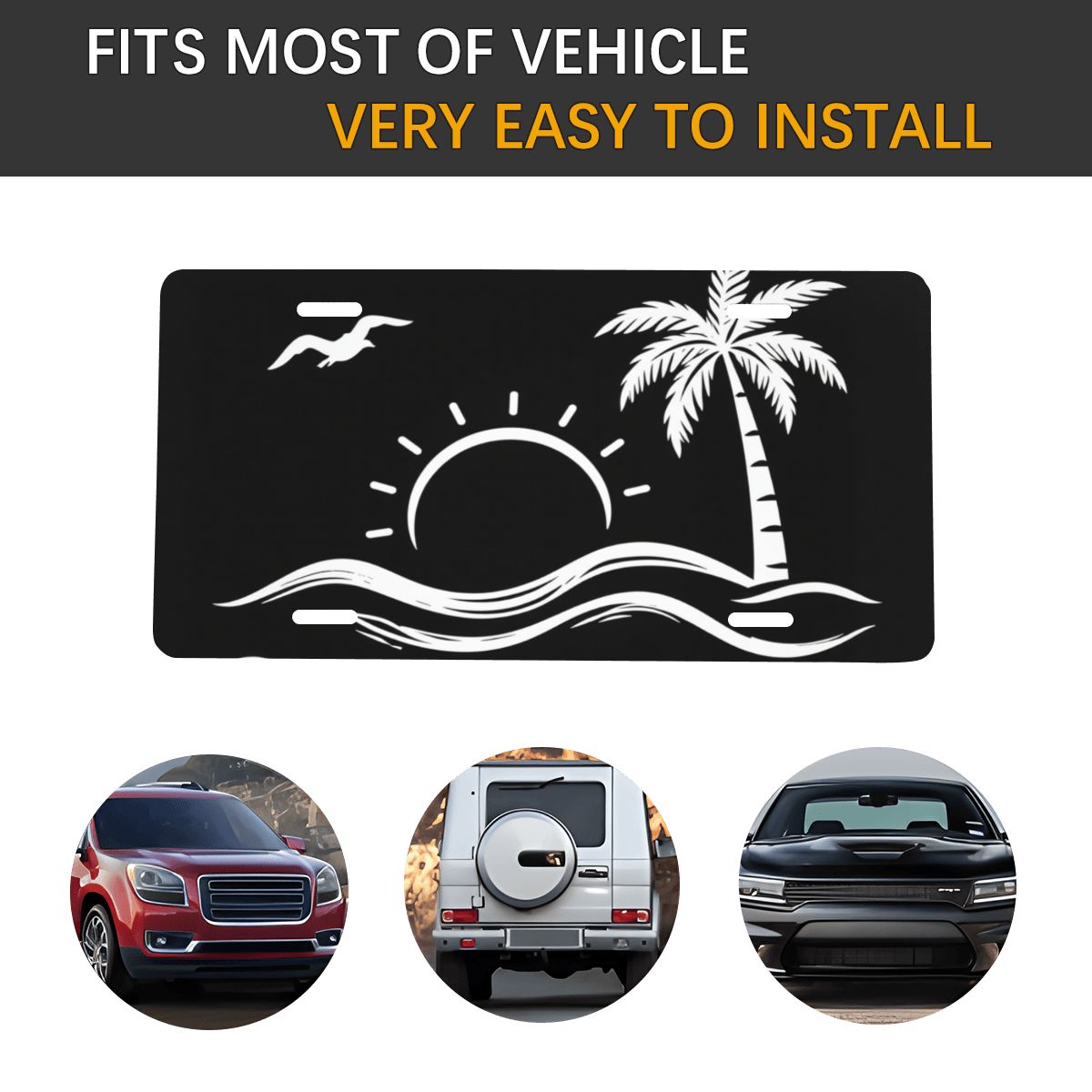 Aluminum License Plate