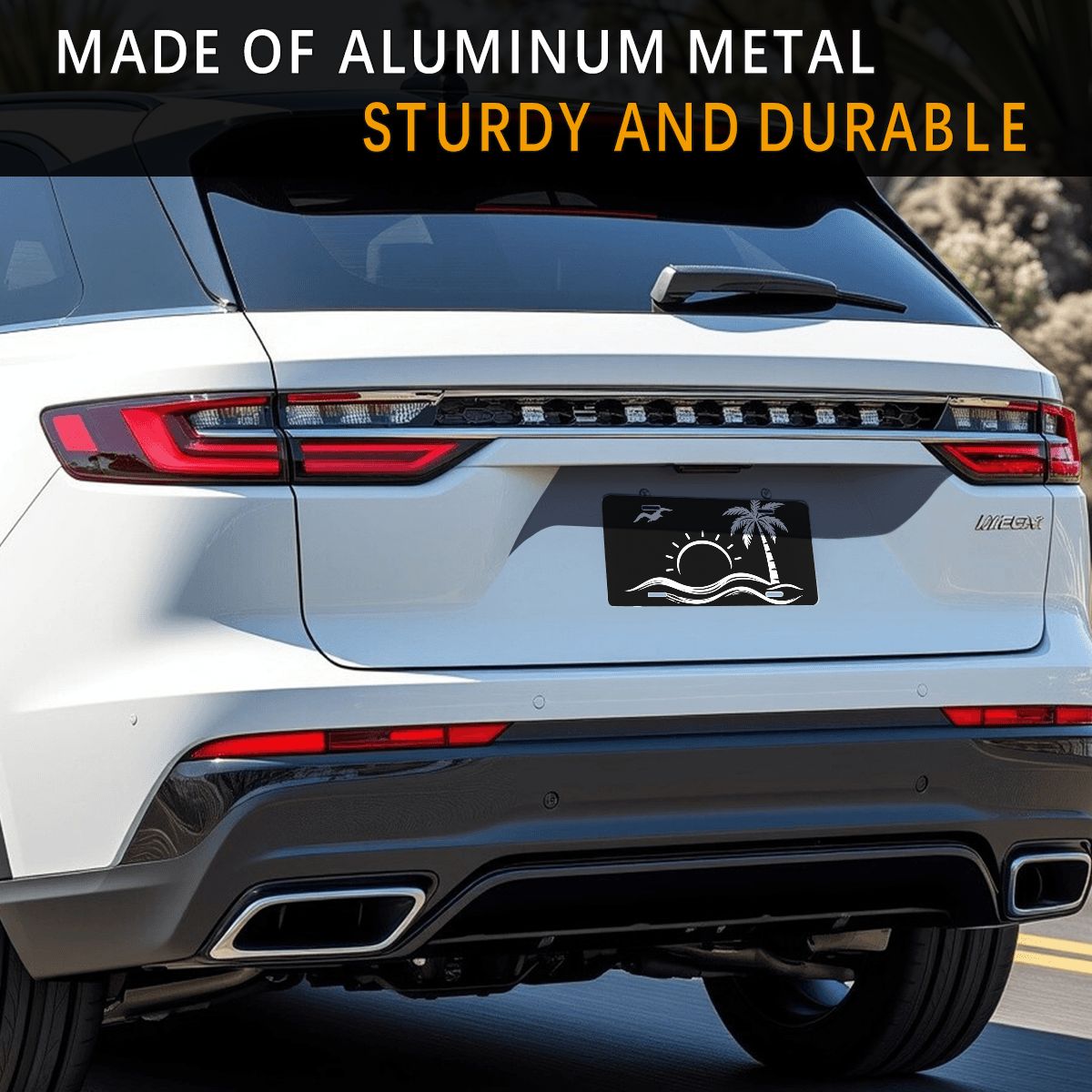 Aluminum License Plate
