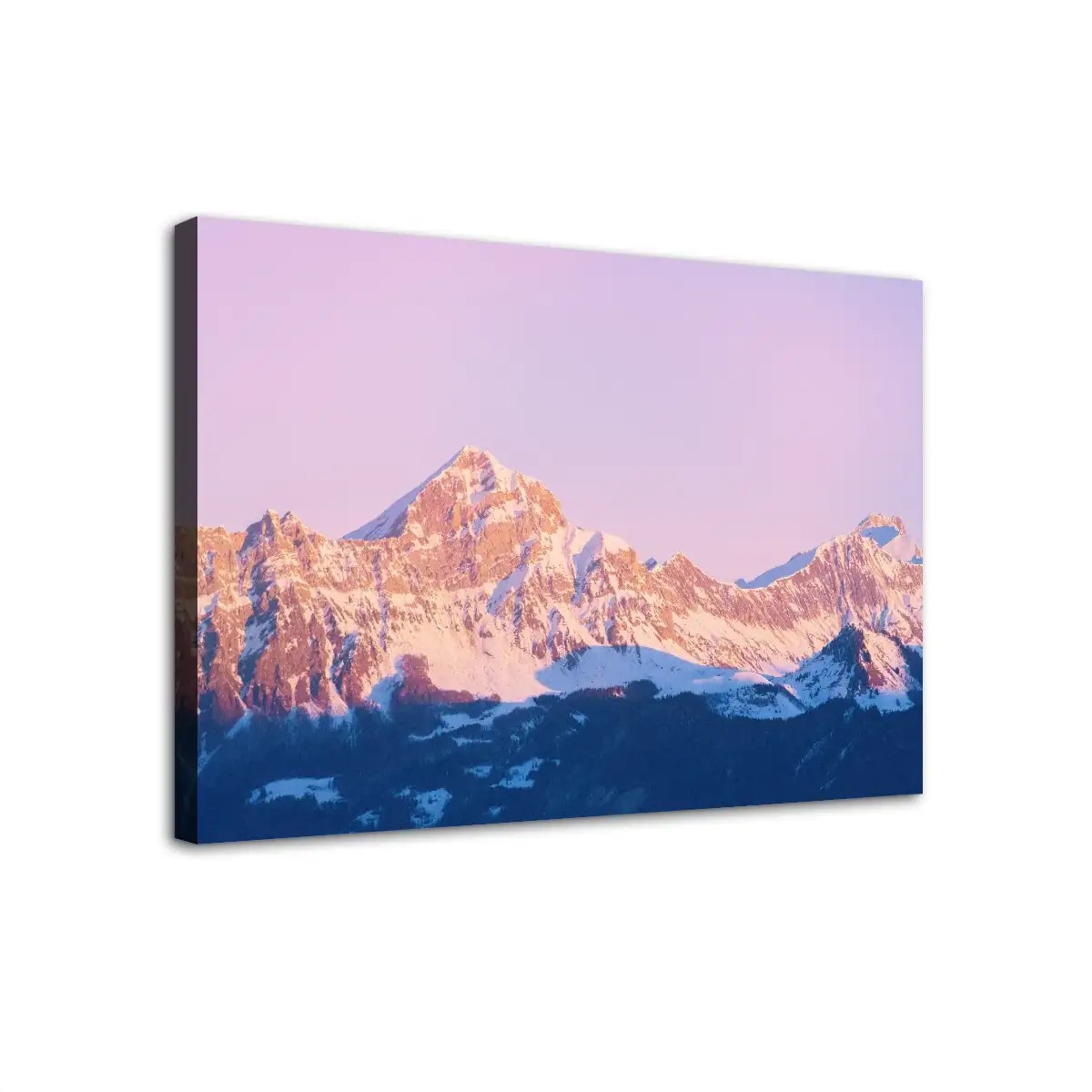 Canvas Prints Wall Art  (Made in USA)