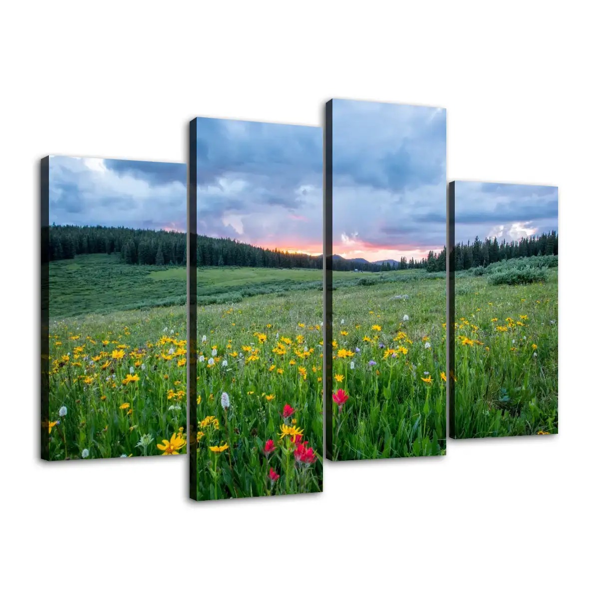 Large Canvas Prints (4 Panel)