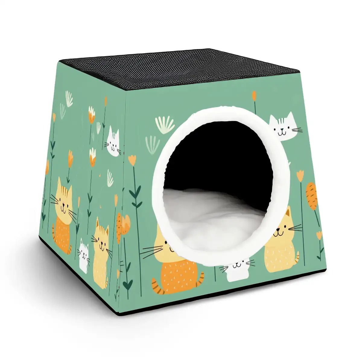 Pet Cube