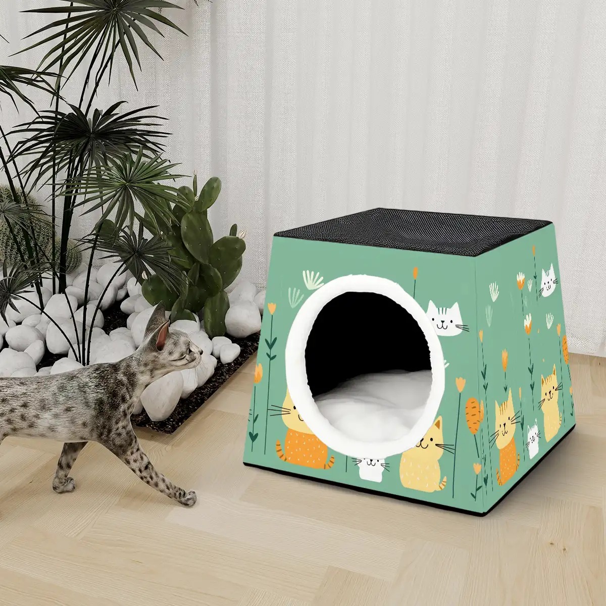 Pet Cube