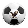 Soccer Ball Soccer Ball