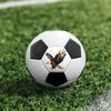 Soccer Ball Soccer Ball