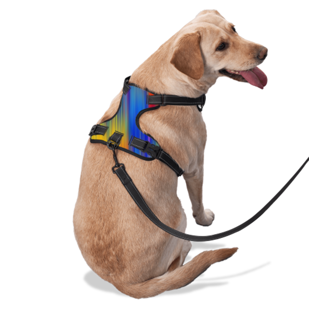 Dog Harness