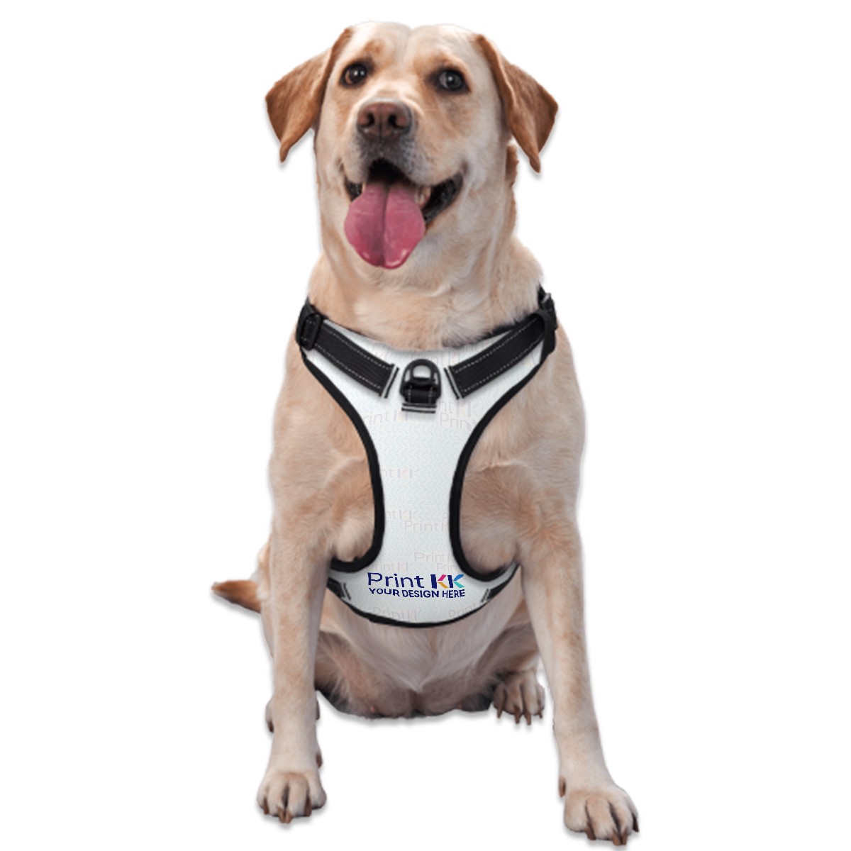 Dog Harness