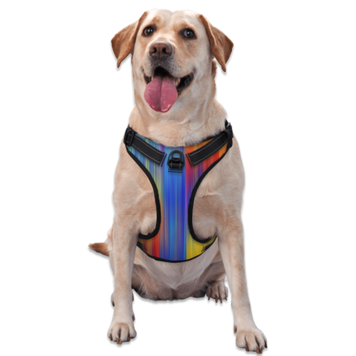 Pet Harness