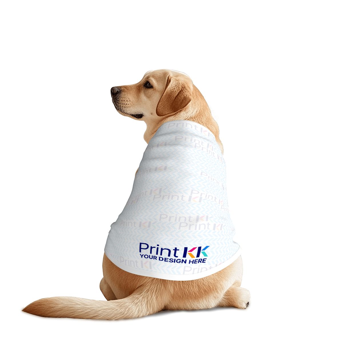 大型犬用ドッグTシャツ