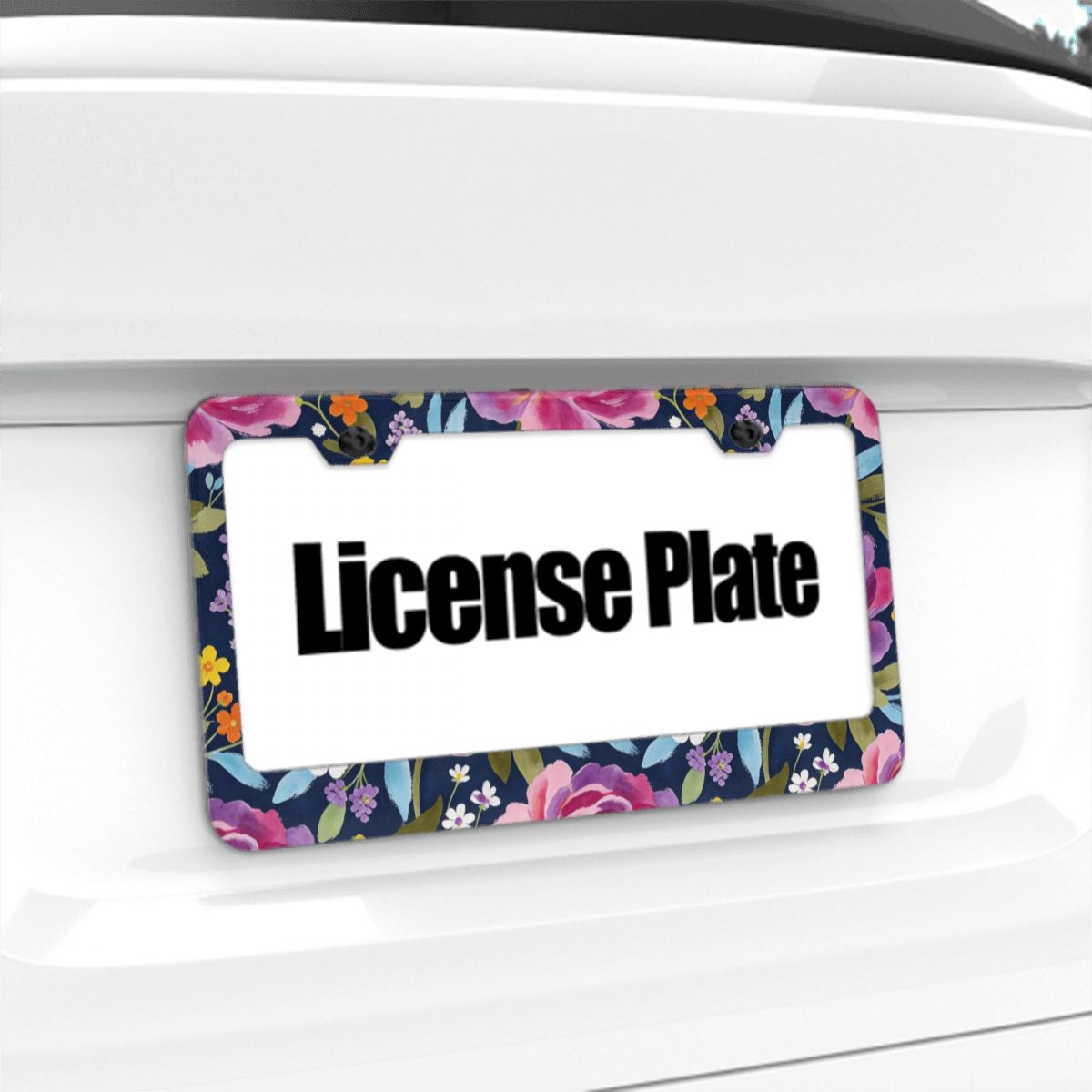 2-Hole Oval License Plate Frames 2 pcs